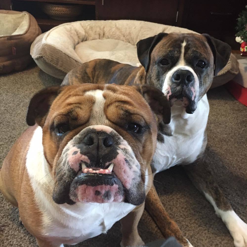 Meet your Posher, Nicholle